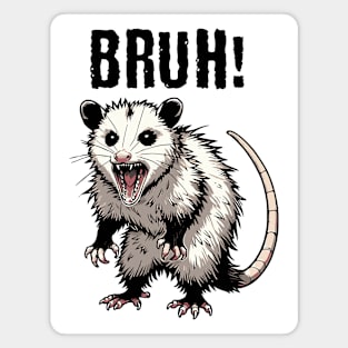 Hissing Possum yelling Bruh, funny trending meme design Magnet